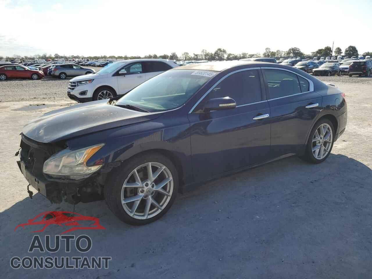 NISSAN MAXIMA 2009 - 1N4AA51E79C834681