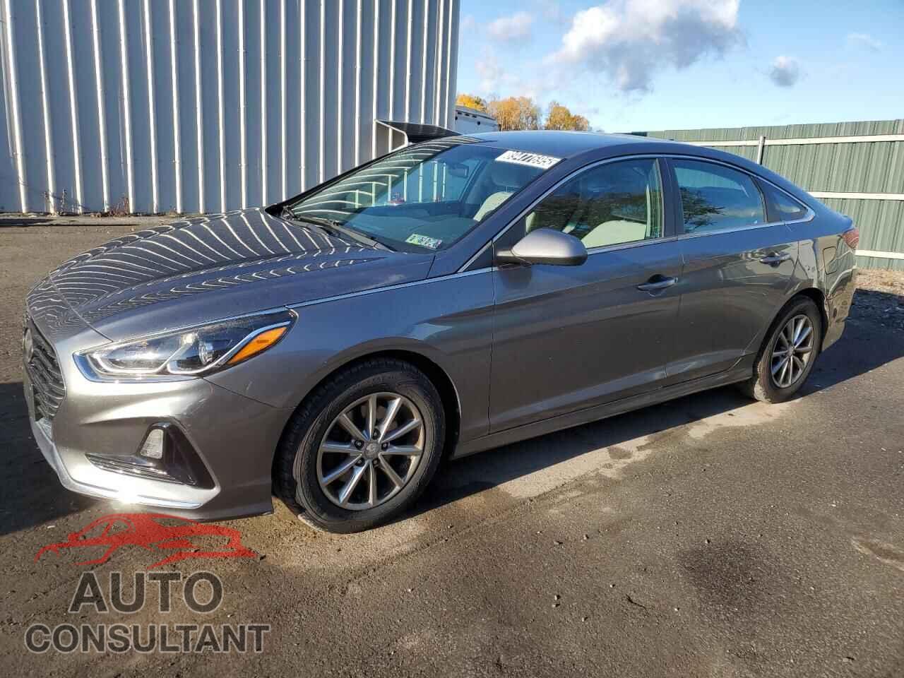 HYUNDAI SONATA 2019 - 5NPE24AF3KH754980