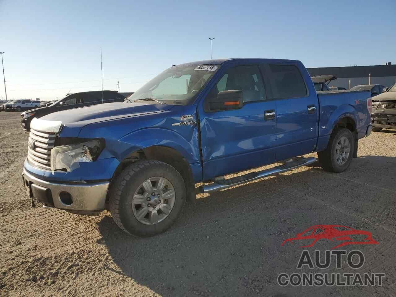 FORD F-150 2010 - 1FTFW1EVXAFA80179