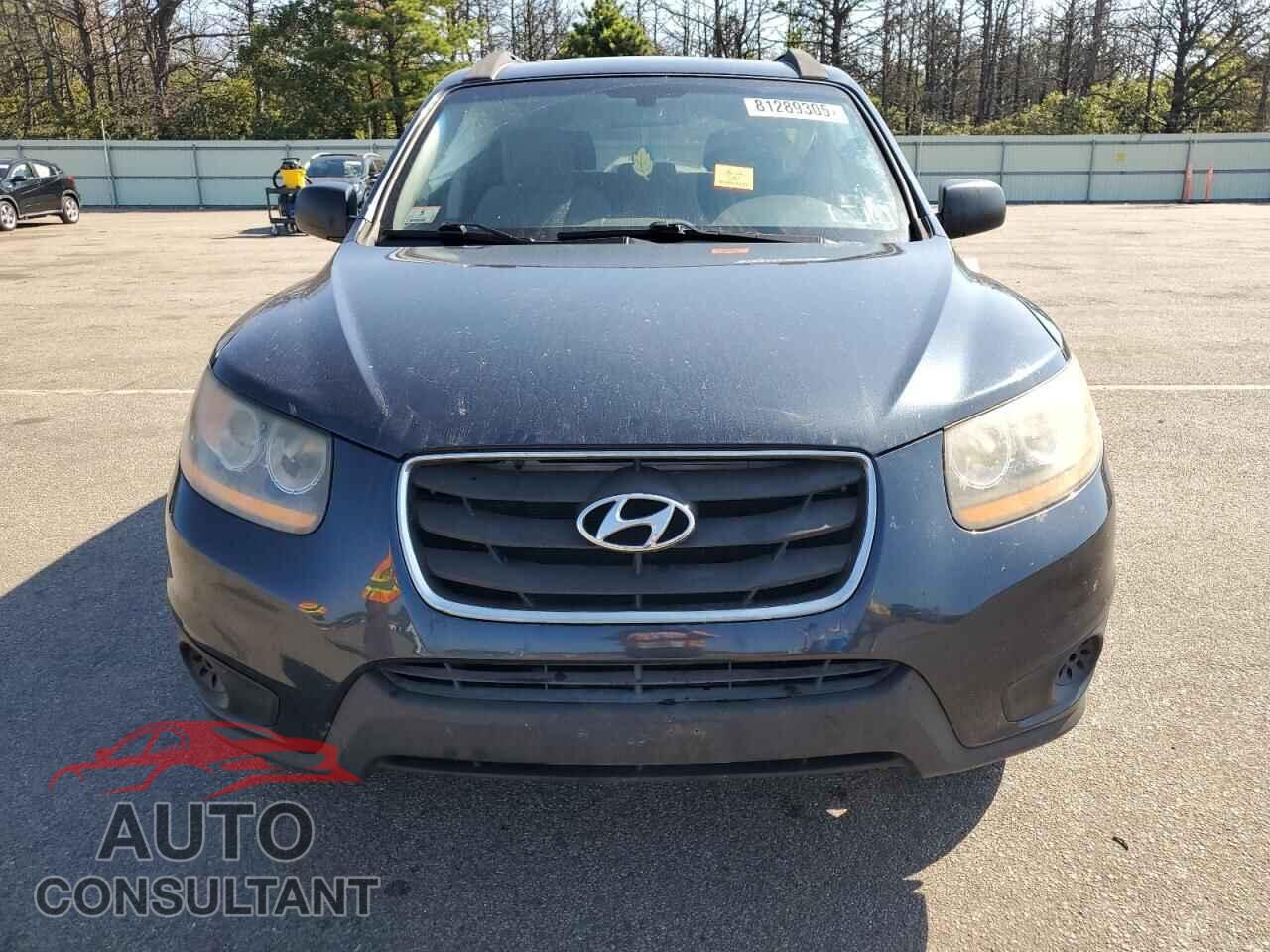 HYUNDAI SANTA FE 2010 - 5NMSGDAB9AH392425