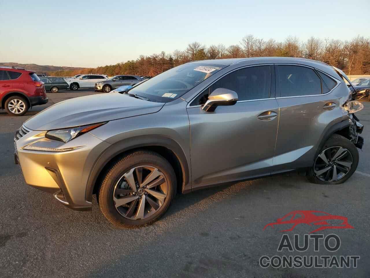 LEXUS NX 2020 - JTJGARDZ2L2221663