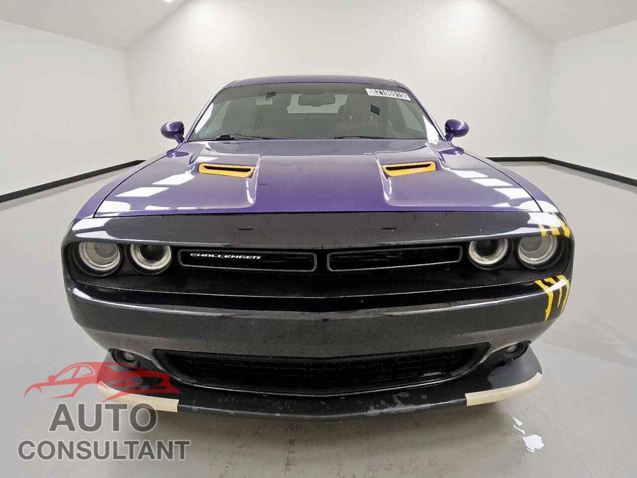 DODGE CHALLENGER 2019 - 2C3CDZAG2KH533908