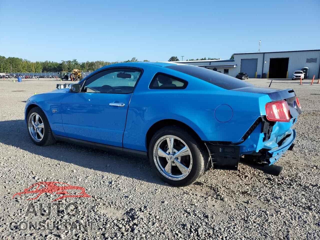 FORD MUSTANG 2010 - 1ZVBP8CH8A5166532
