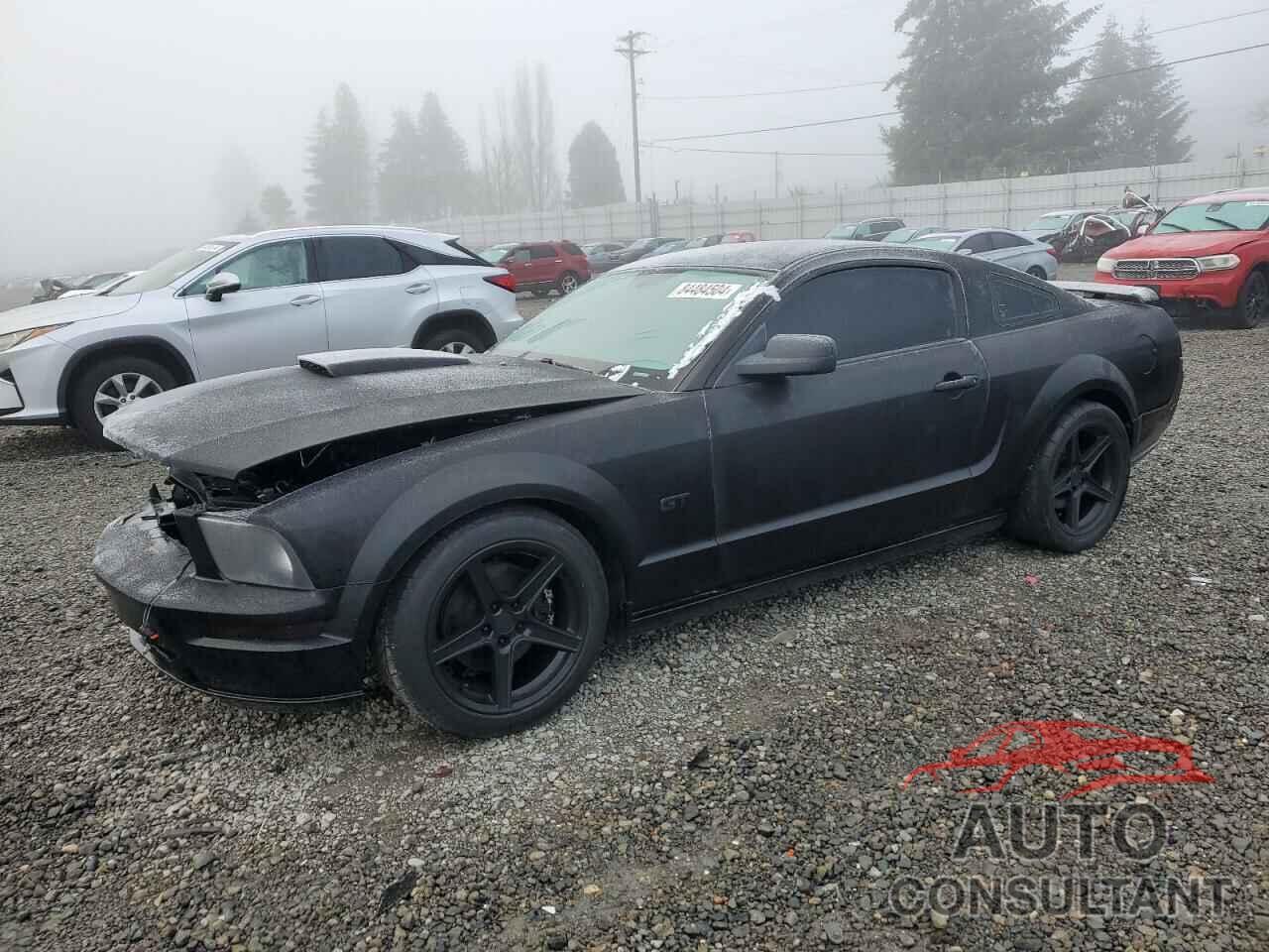 FORD MUSTANG 2009 - 1ZVHT82H895110268