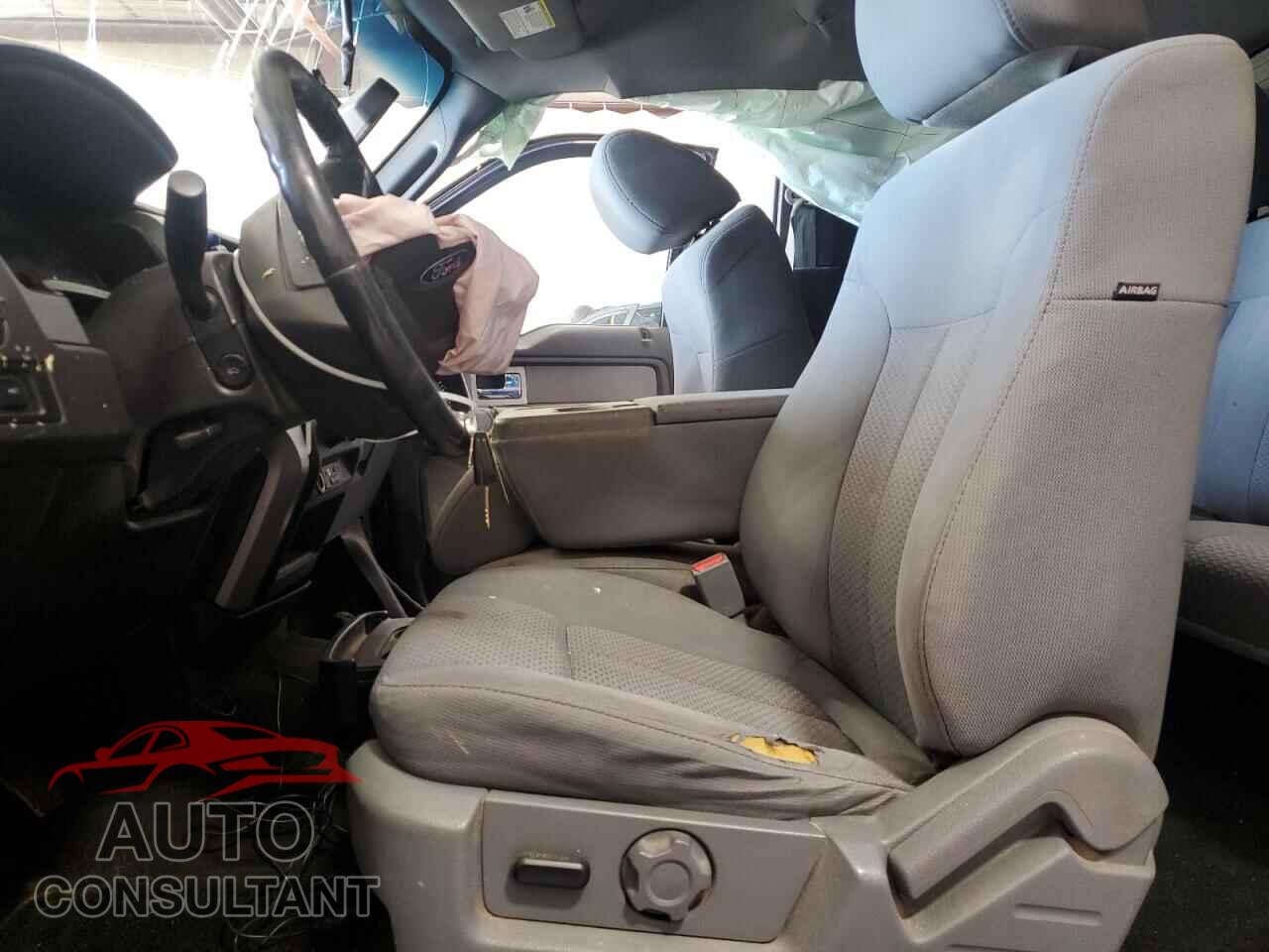 FORD F-150 2011 - 1FTFX1EF7BFC24925