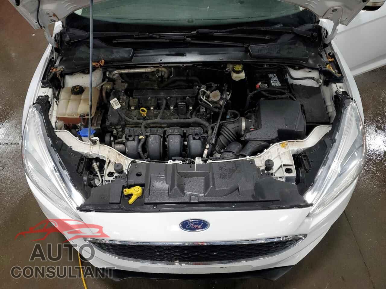 FORD FOCUS 2017 - 1FADP3K25HL314319