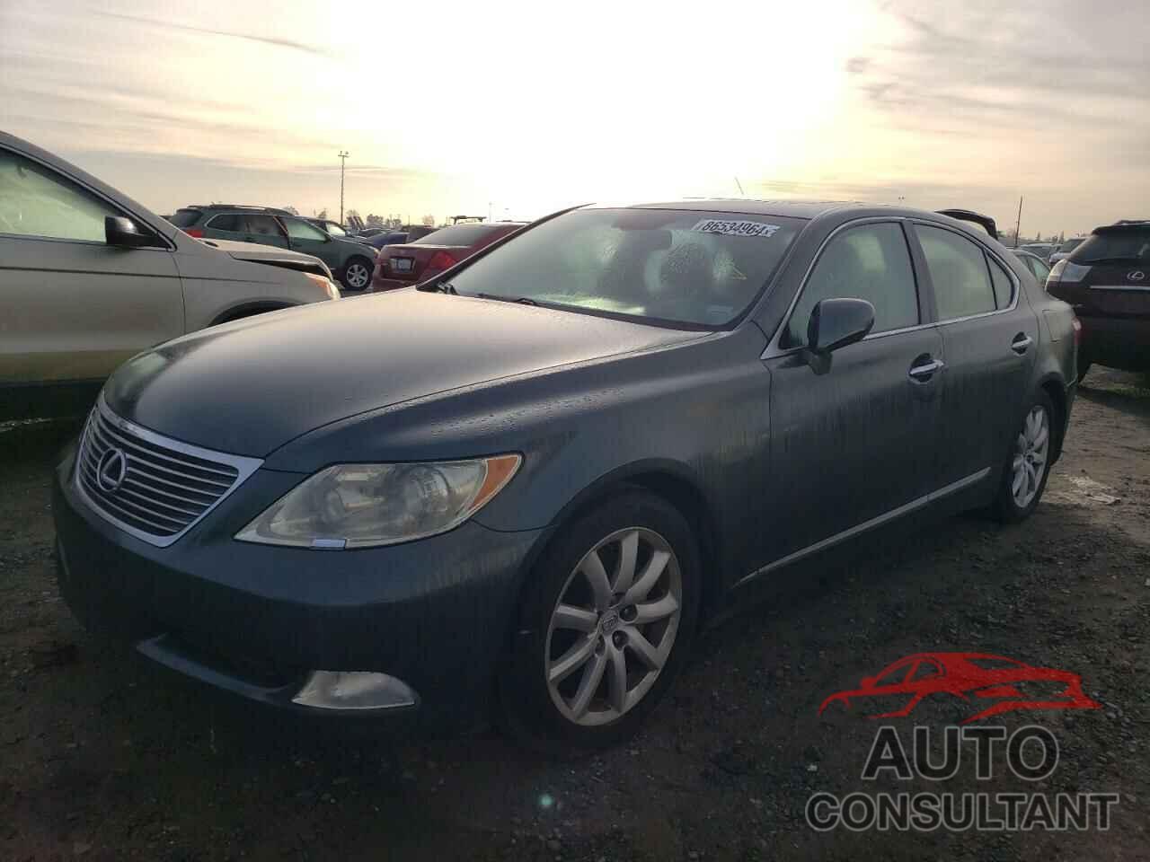LEXUS LS460 2009 - JTHBL46F595087492