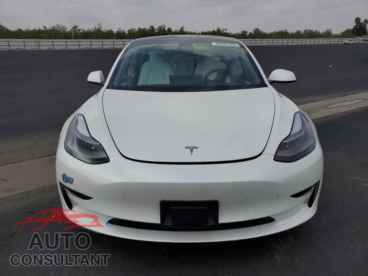 TESLA MODEL 3 2021 - 5YJ3E1EB8MF999389