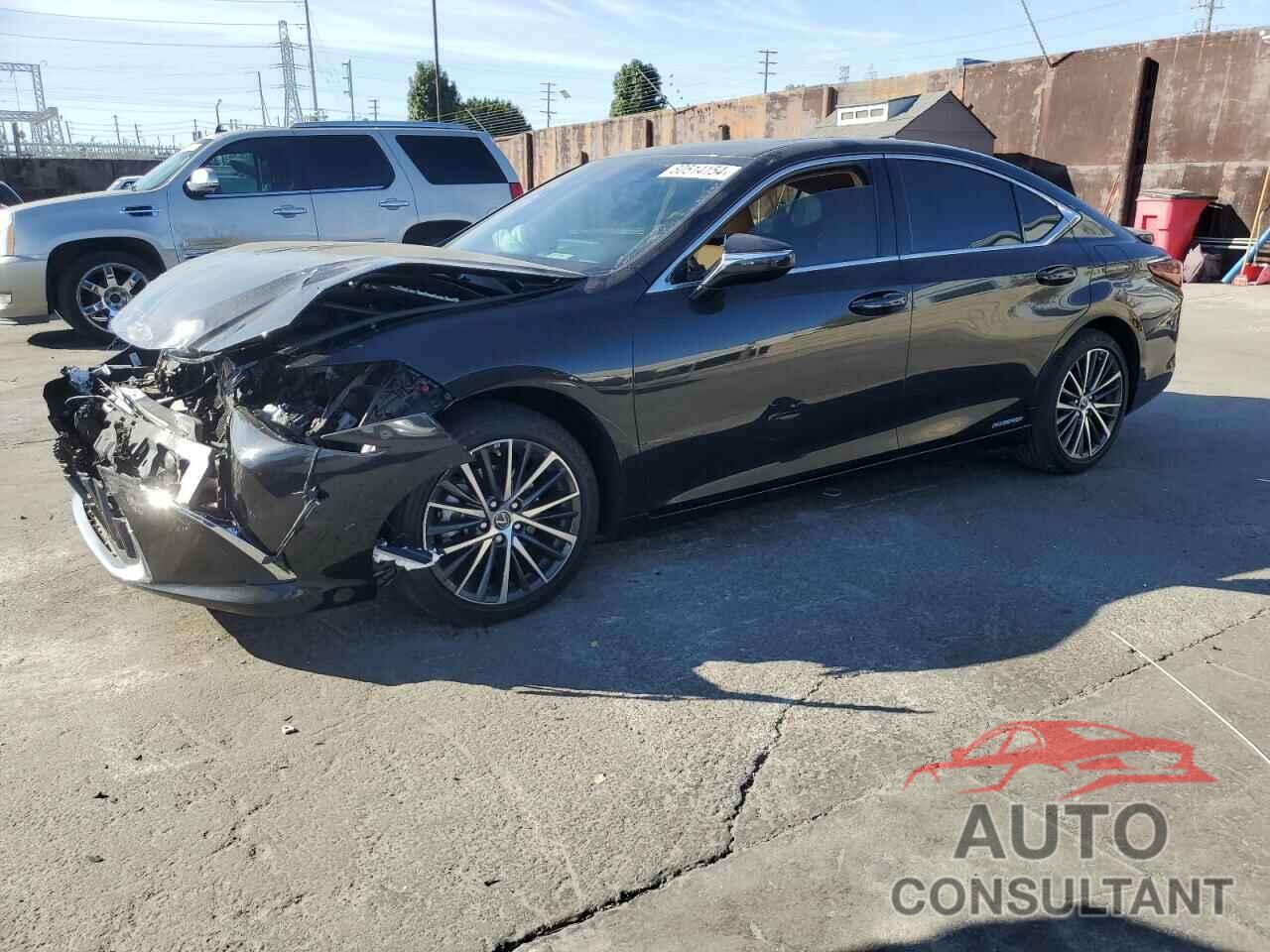 LEXUS ES300 2022 - 58ADA1C1XNU023315