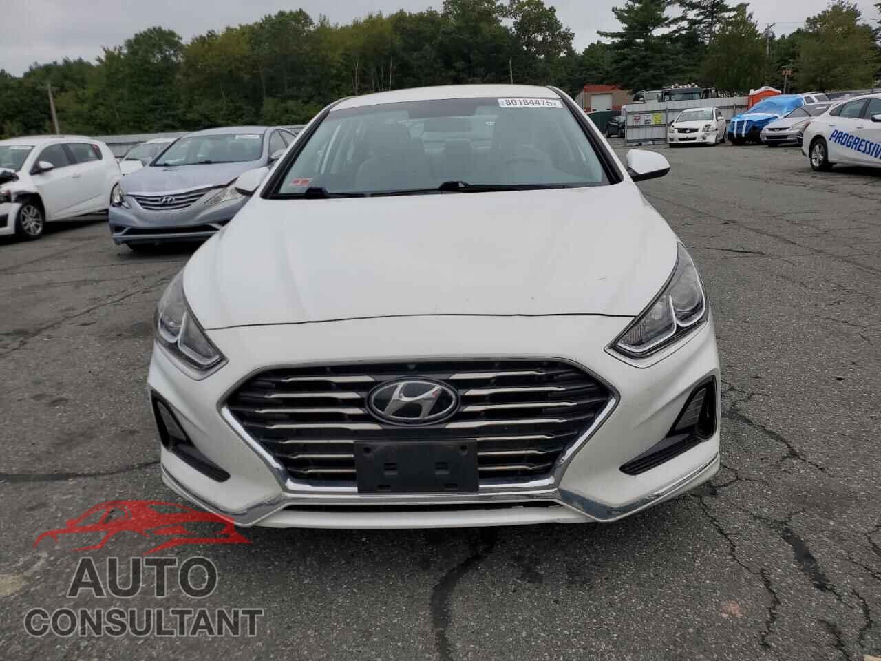 HYUNDAI SONATA 2018 - 5NPE24AF7JH674032