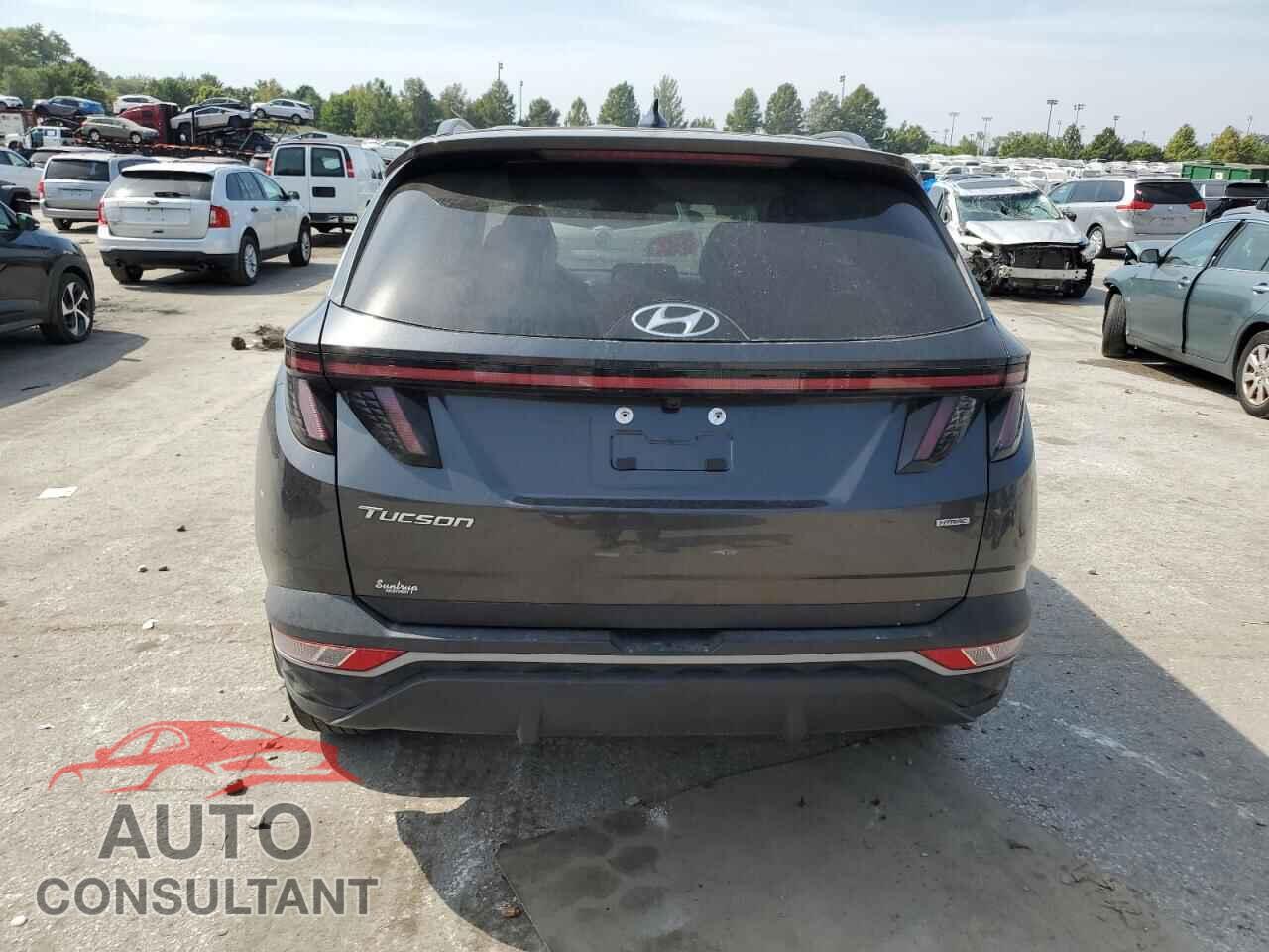 HYUNDAI TUCSON 2023 - 5NMJBCAE4PH209102