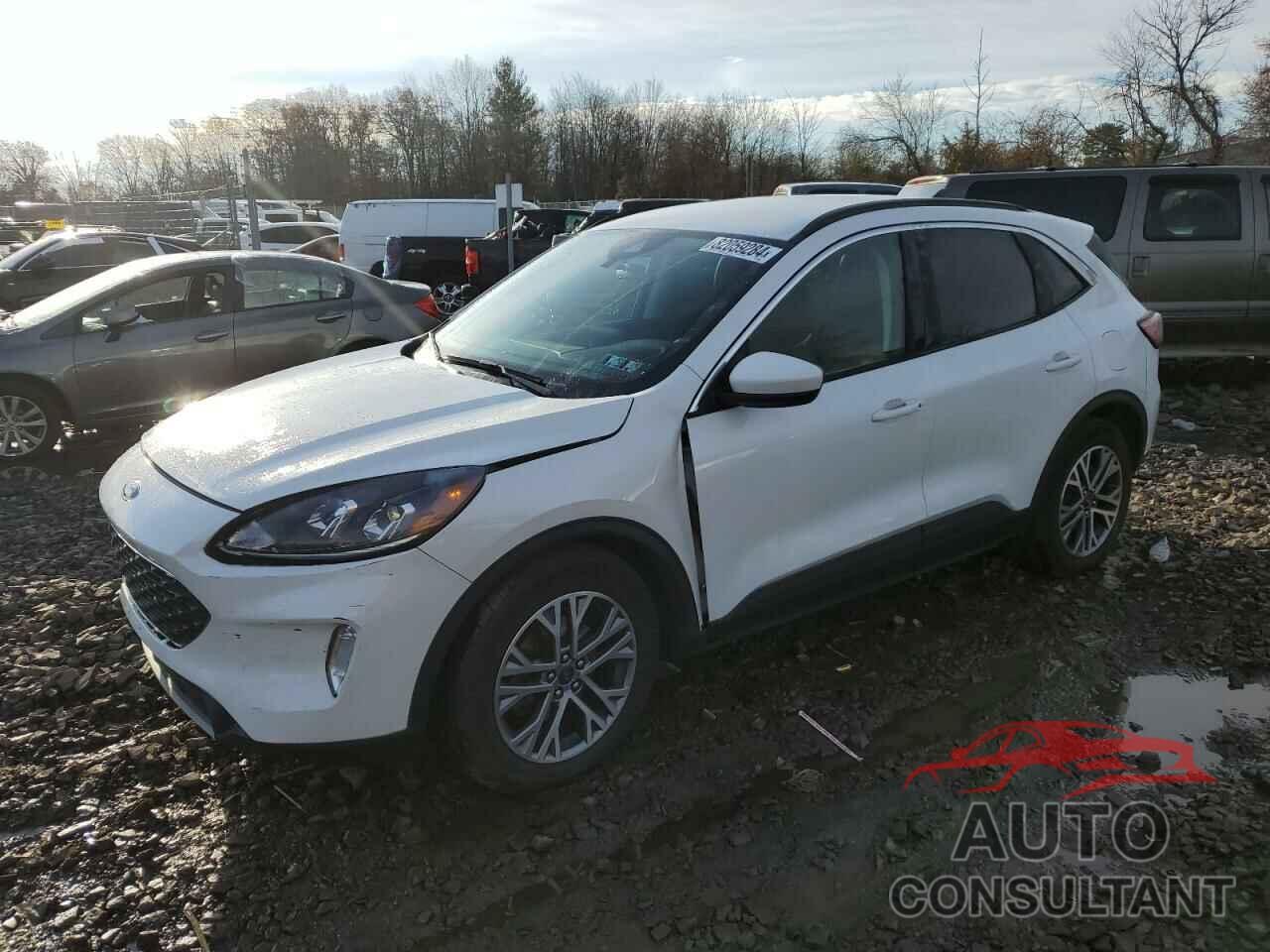 FORD ESCAPE 2022 - 1FMCU0H60NUB37526