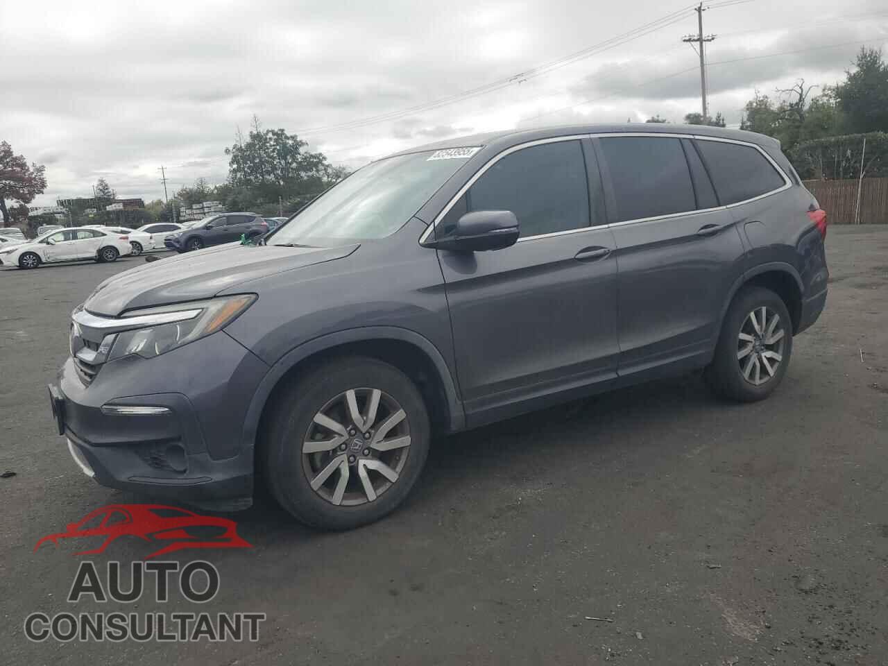 HONDA PILOT 2019 - 5FNYF5H30KB035283