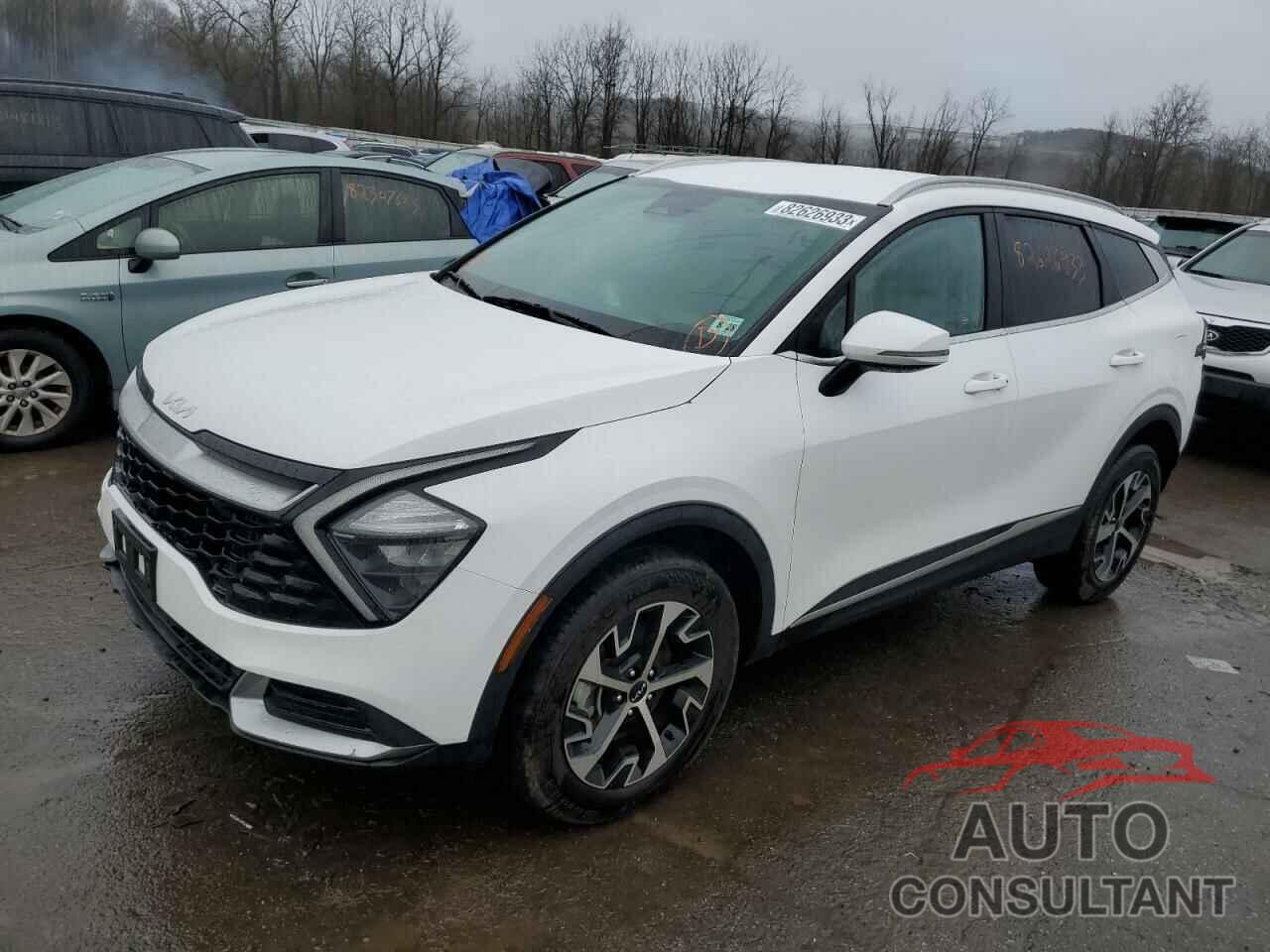 KIA SPORTAGE 2023 - 5XYK3CAF1PG044307