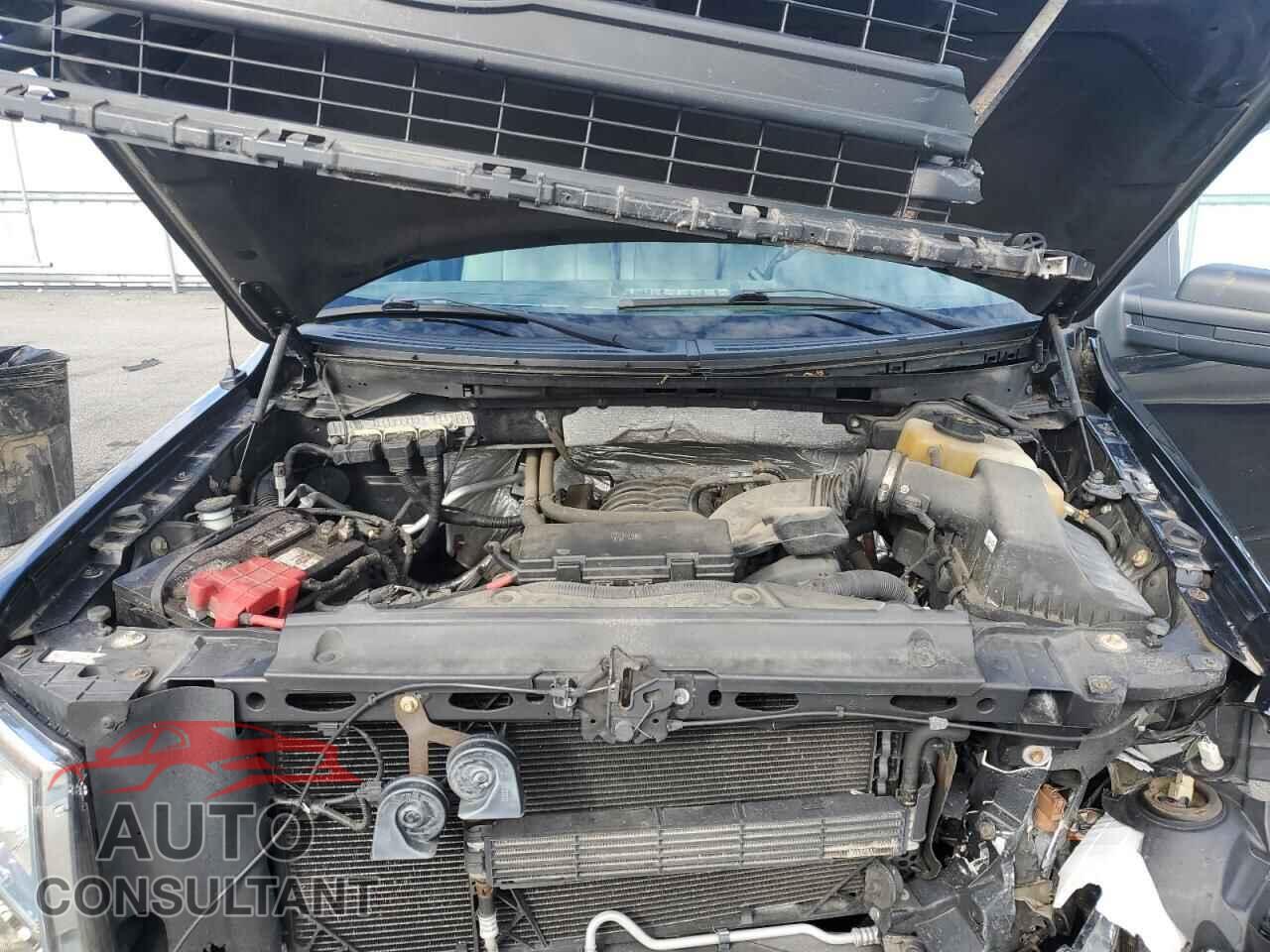 FORD F-150 2013 - 1FTFX1EF9DFD72982