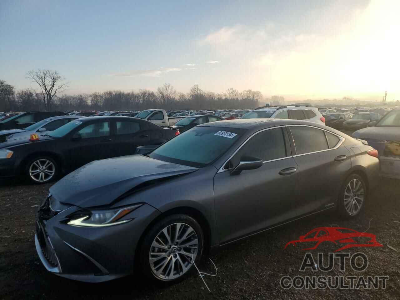 LEXUS ES300 2020 - 58AD21B1XLU009880