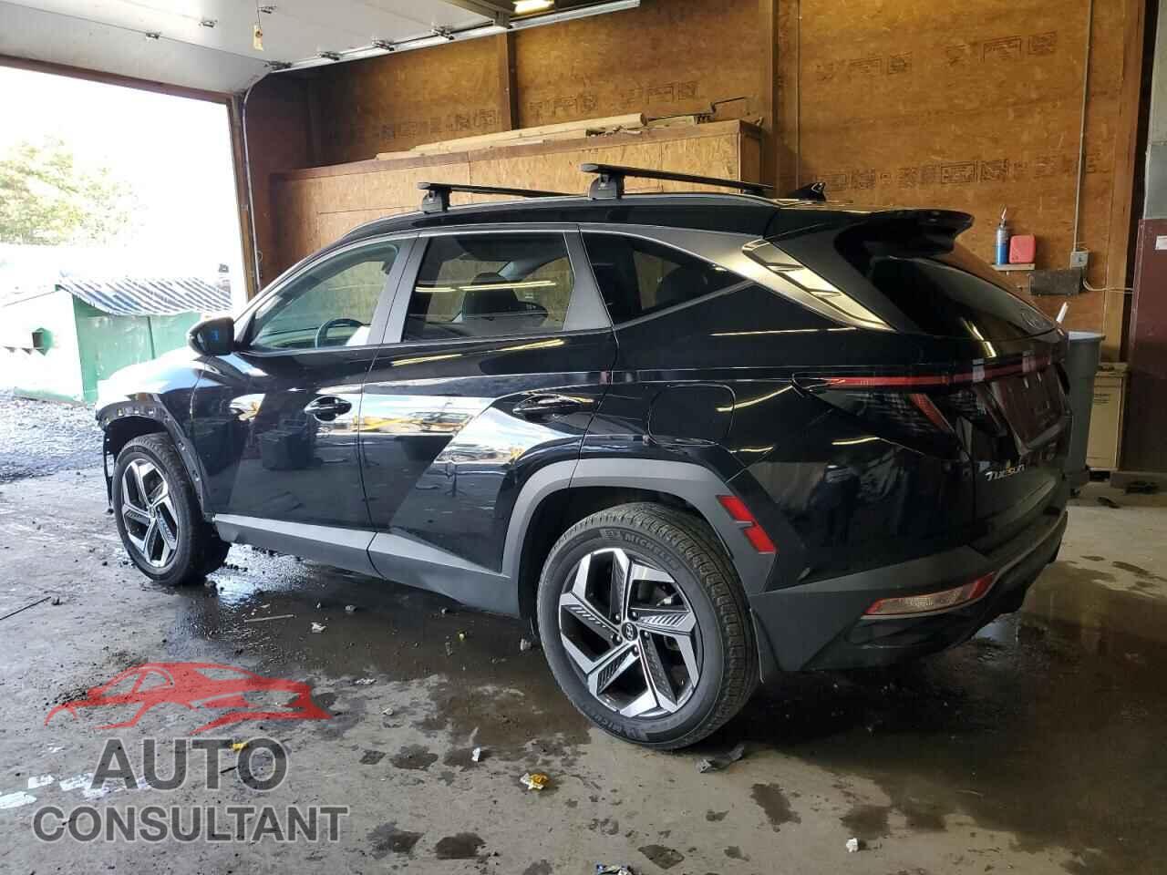 HYUNDAI TUCSON 2024 - 5NMJFCDE6RH347310