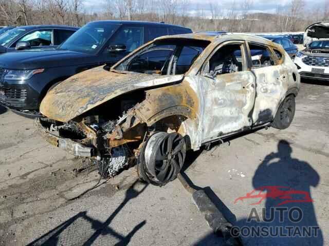 HYUNDAI TUCSON 2017 - KM8J3CA44HU503884