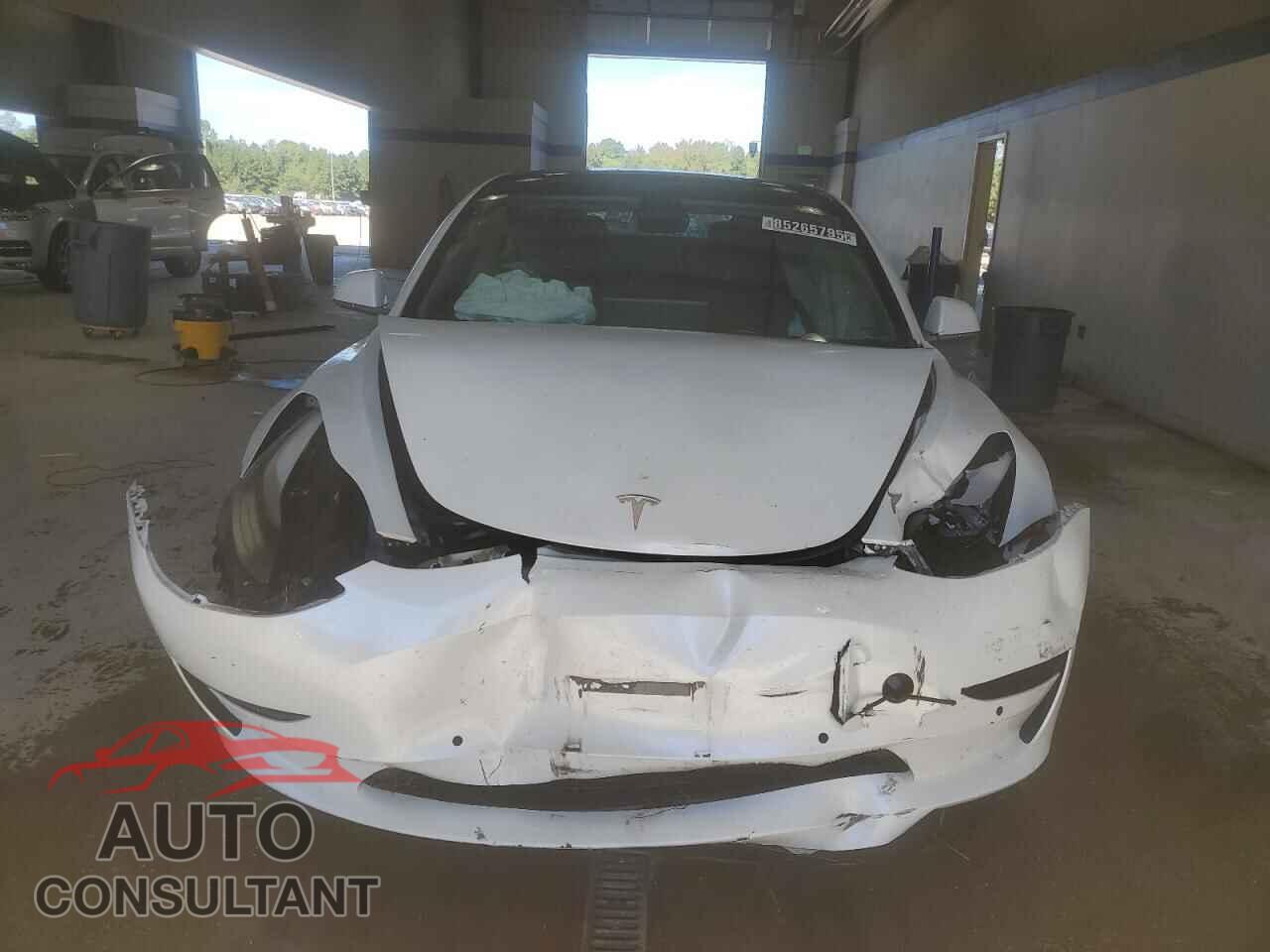 TESLA MODEL 3 2019 - 5YJ3E1EA5KF483883
