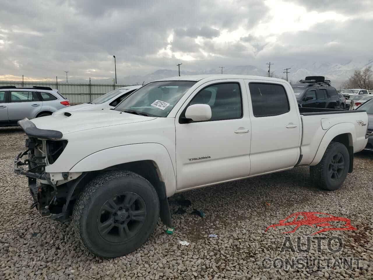 TOYOTA TACOMA 2009 - 3TMMU52N99M012878