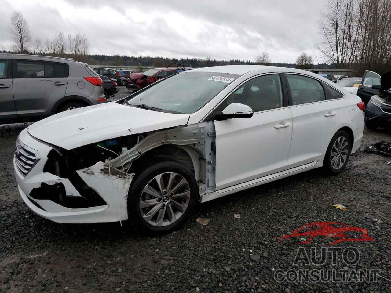 HYUNDAI SONATA 2016 - 5NPE34AF4GH268229