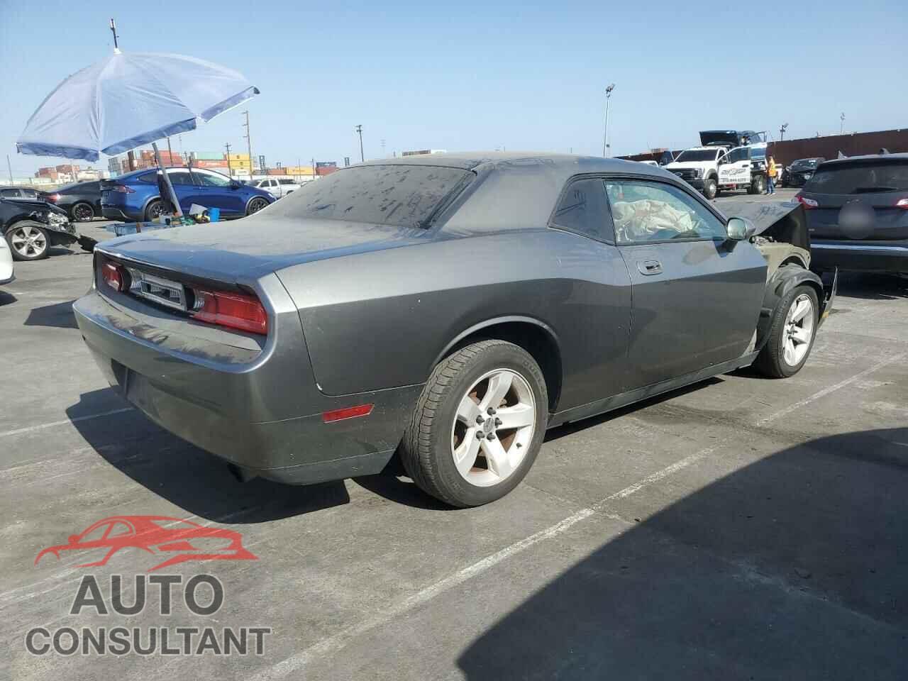 DODGE CHALLENGER 2010 - 2B3CJ4DV5AH318508