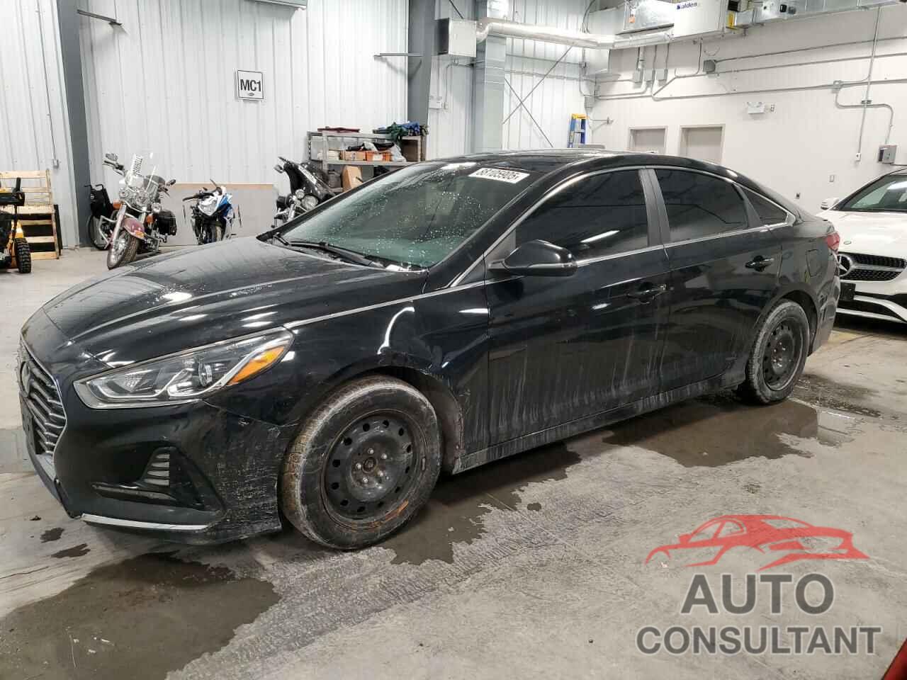 HYUNDAI SONATA 2019 - 5NPE24AF7KH789618