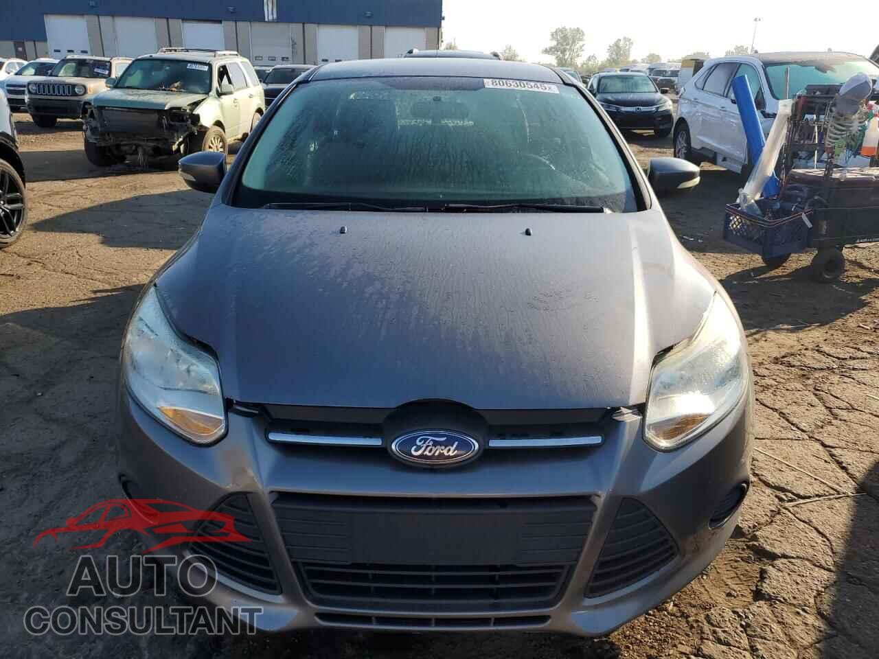 FORD FOCUS 2014 - 1FADP3F20EL459662