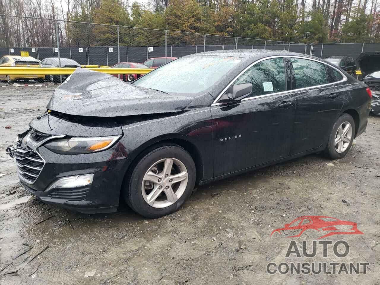 CHEVROLET MALIBU 2019 - 1G1ZB5ST1KF220553