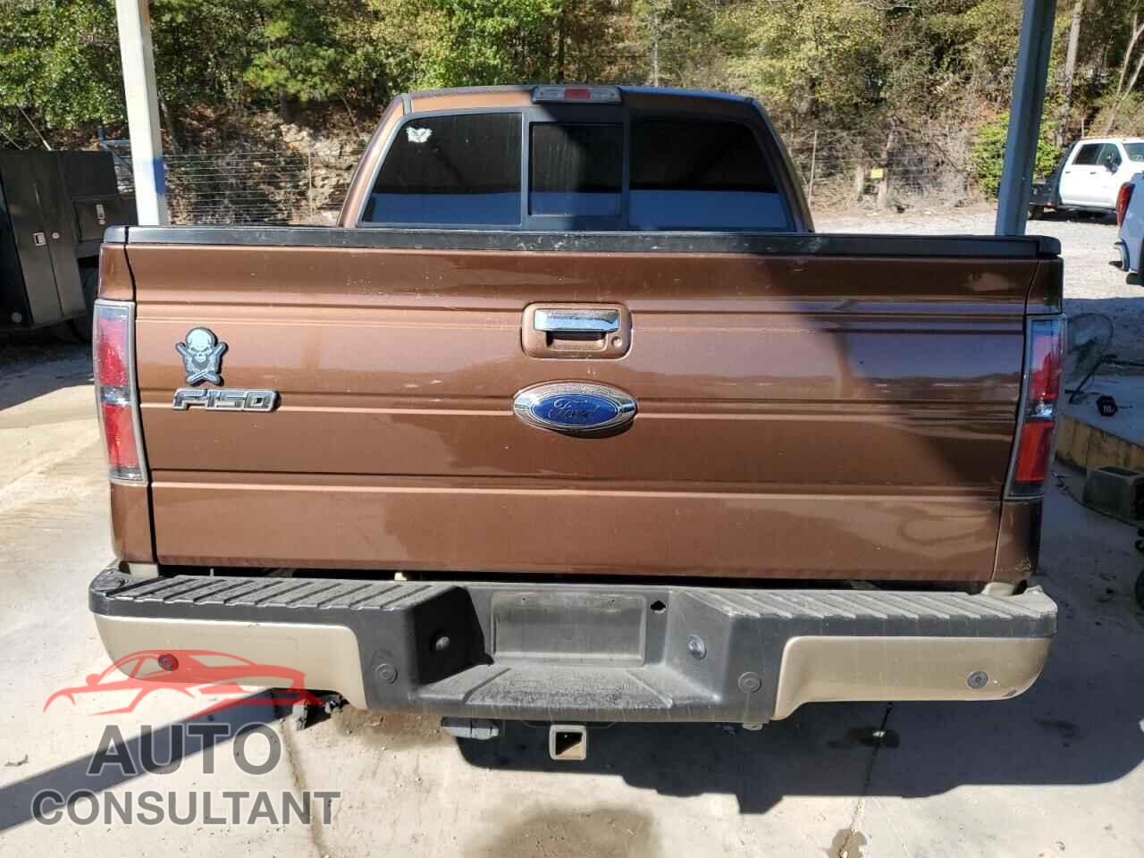 FORD F150 2012 - 1FTFW1CF0CFA52888