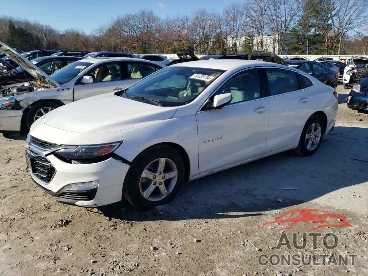 CHEVROLET MALIBU 2022 - 1G1ZD5STXNF193478