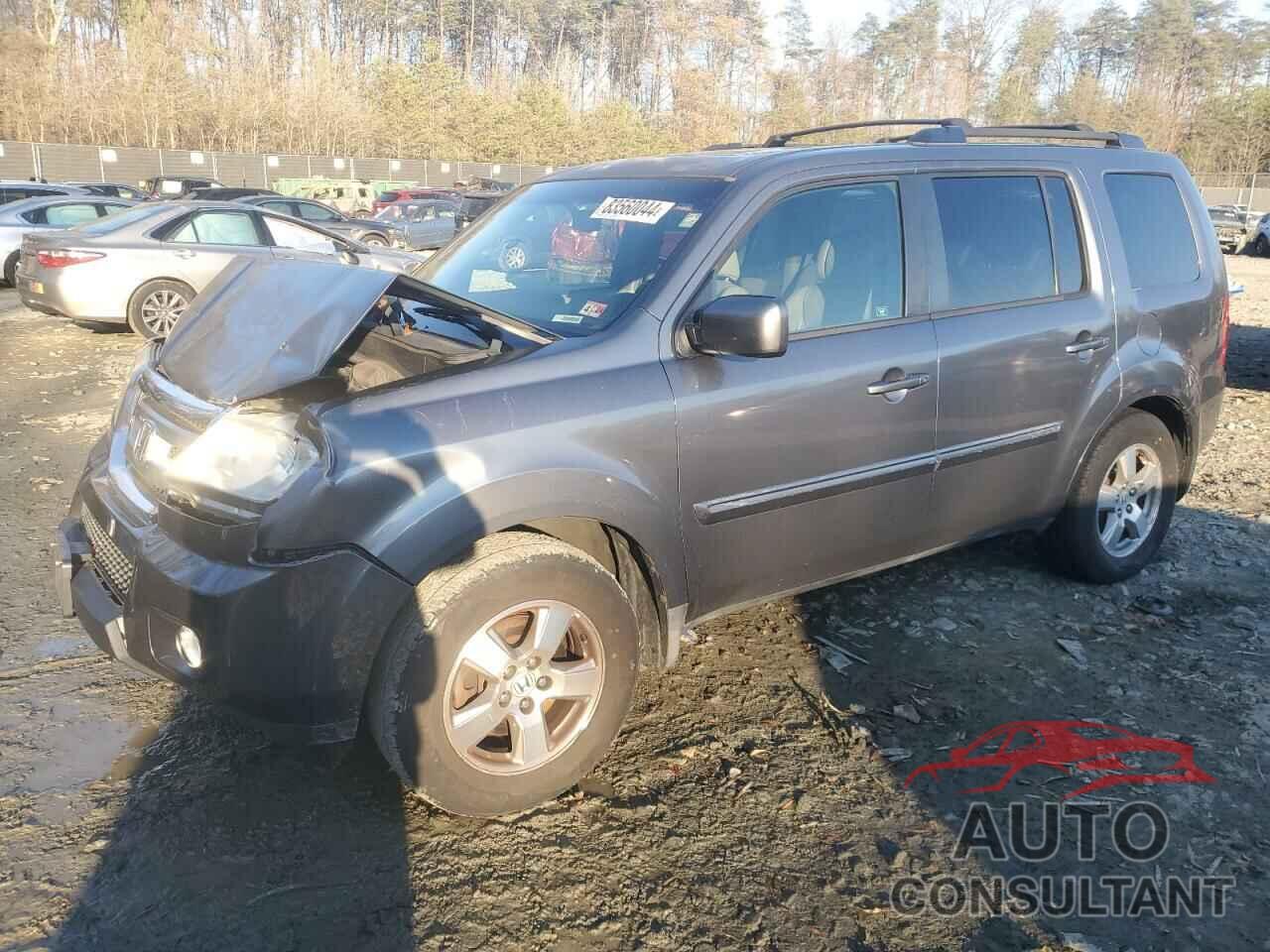 HONDA PILOT 2010 - 5FNYF4H59AB011946