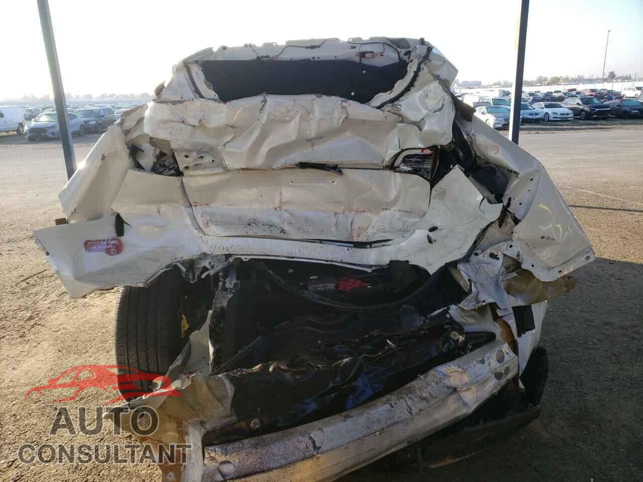 TESLA MODEL Y 2024 - 7SAYGDEE6RF190608