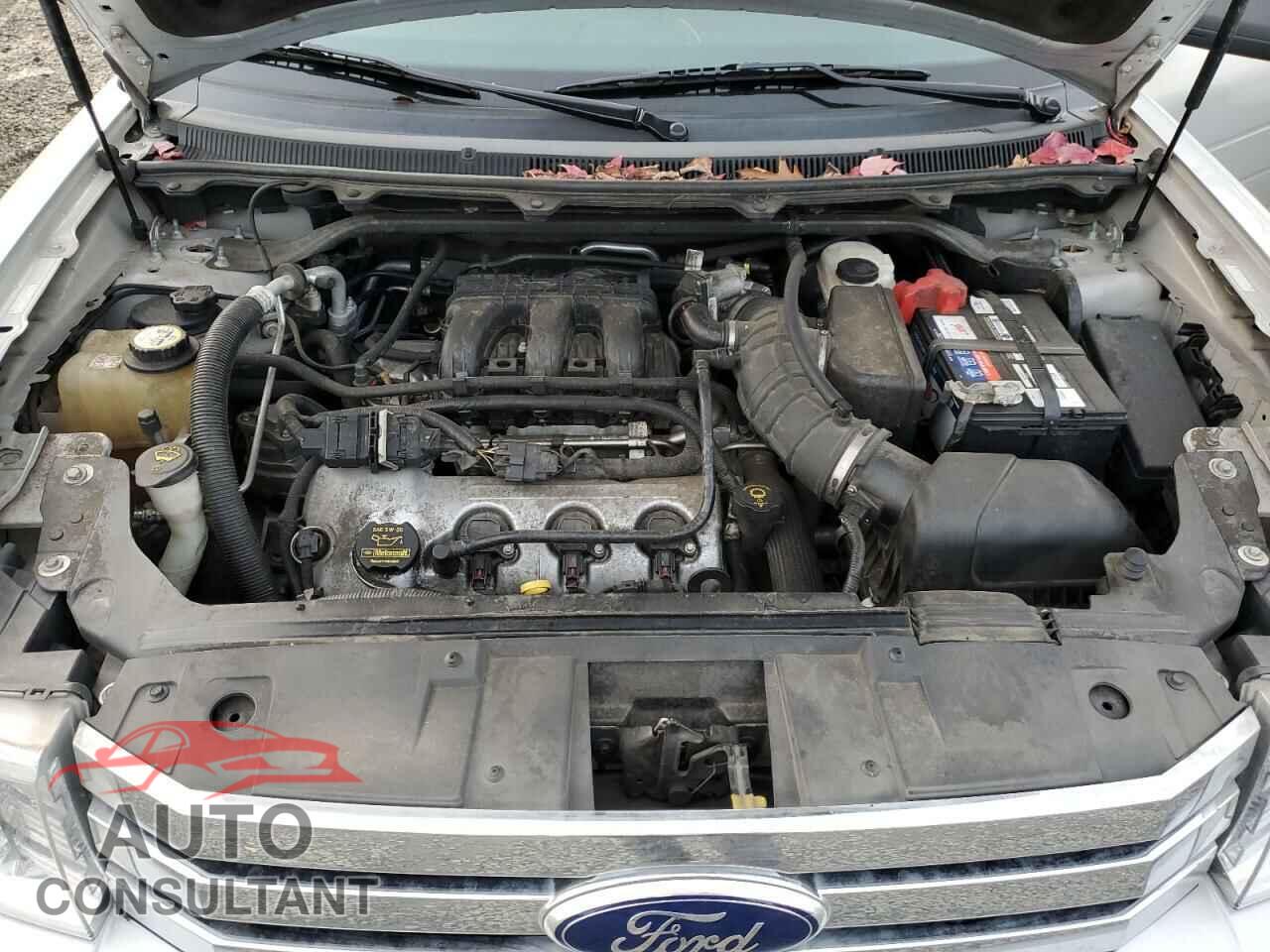 FORD FLEX 2009 - 2FMDK51C19BA10772