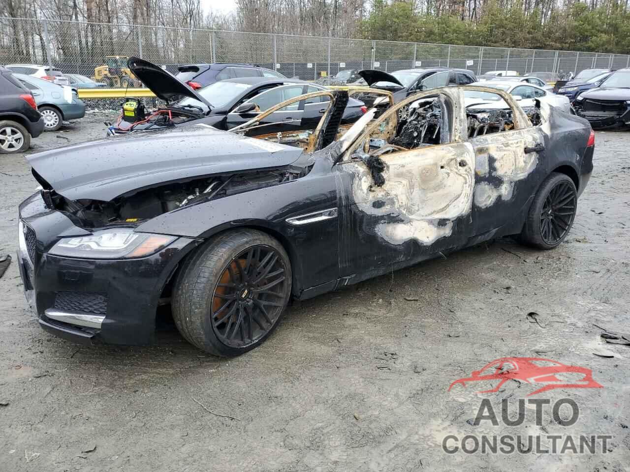 JAGUAR XF 2016 - SAJBK4BV4GCY12012