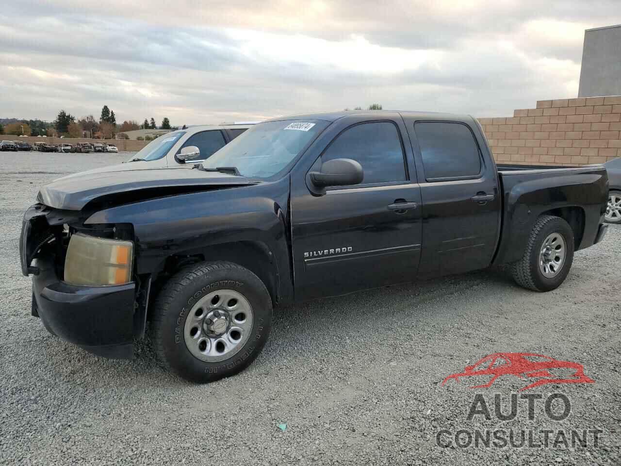 CHEVROLET SILVERADO 2010 - 3GCRCSEA9AG182838