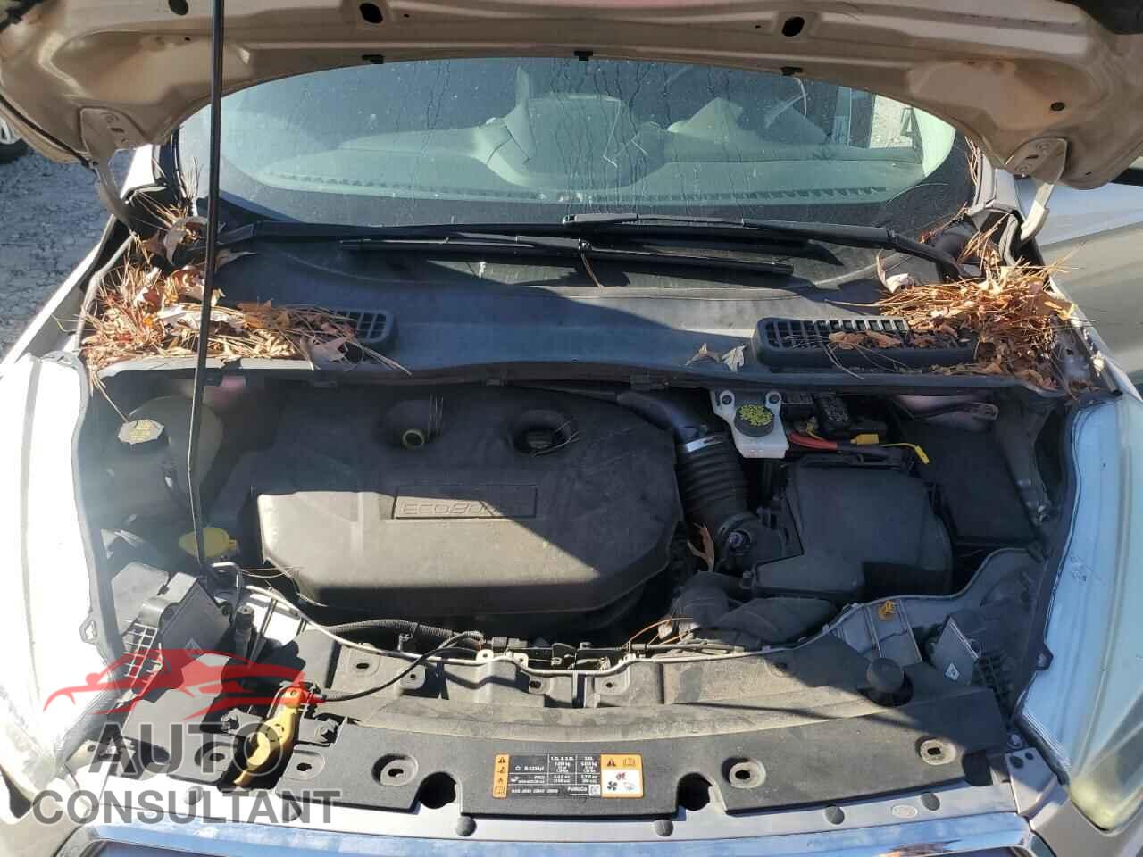 FORD ESCAPE 2017 - 1FMCU9J97HUD41365