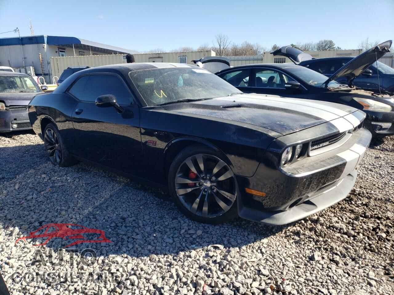 DODGE CHALLENGER 2014 - 2C3CDYCJ1EH249645