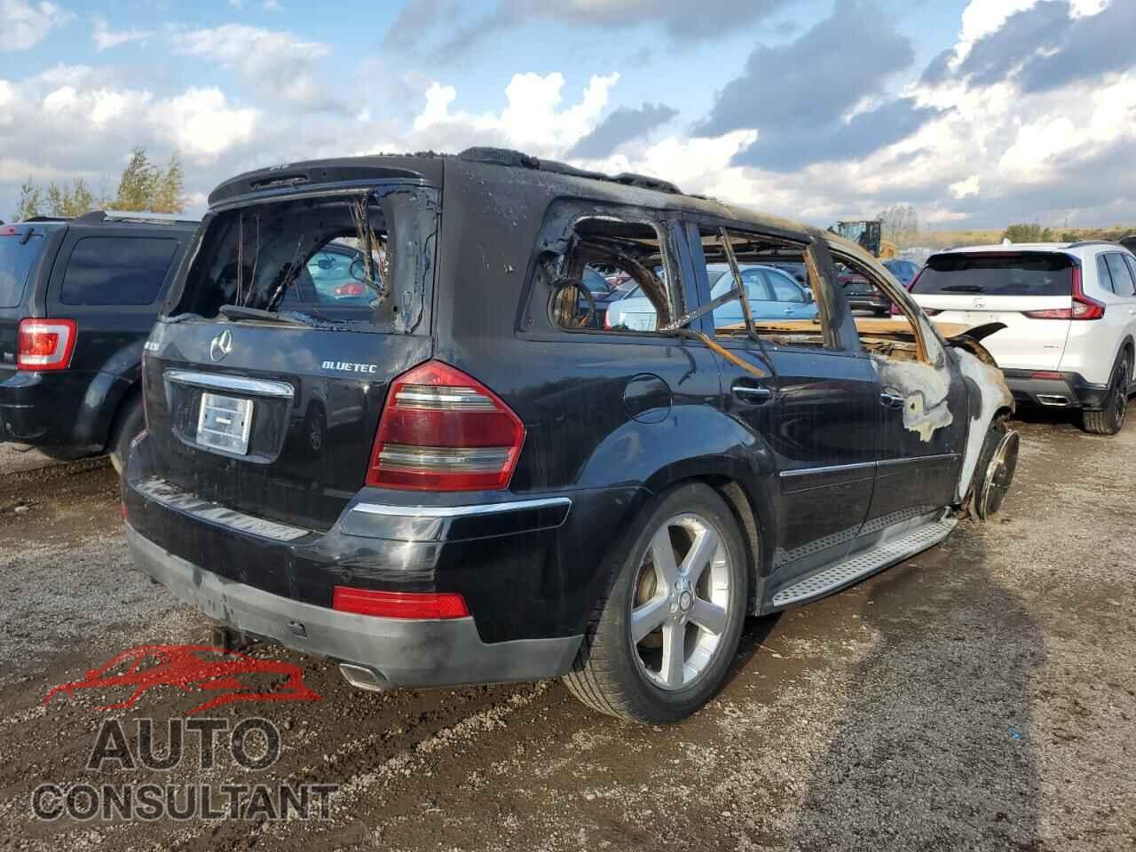 MERCEDES-BENZ GL-CLASS 2009 - 4JGBF25E09A497366