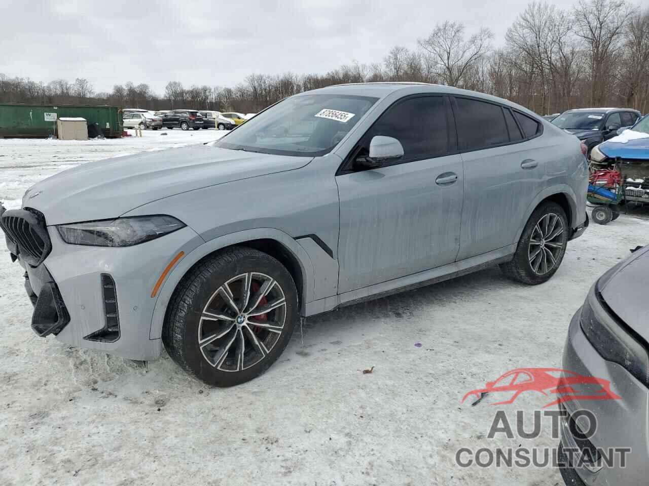 BMW X6 2024 - 5UX33EX07R9U60044