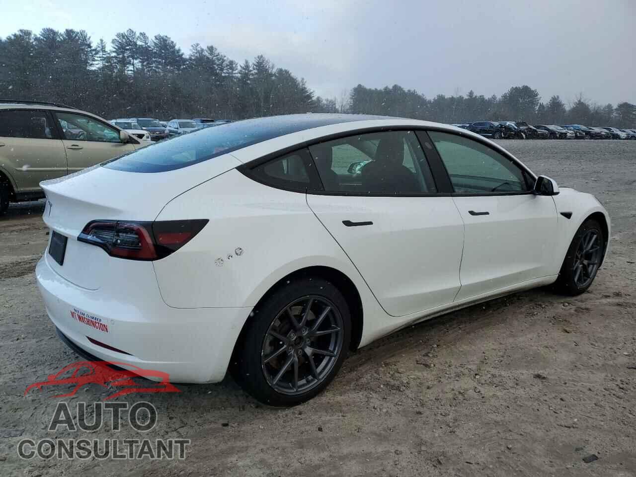 TESLA MODEL 3 2021 - 5YJ3E1EA9MF961256