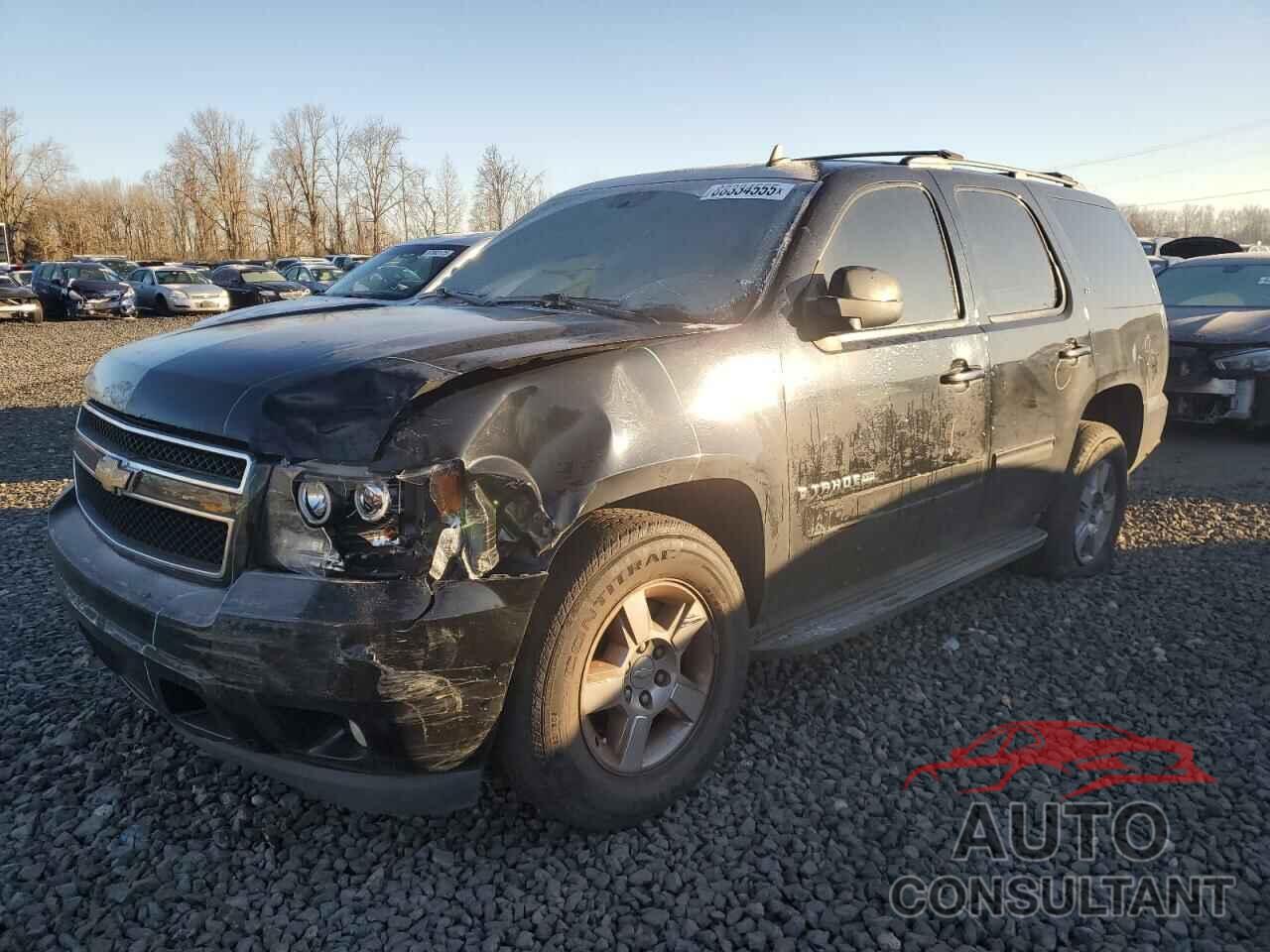 CHEVROLET TAHOE 2009 - 1GNEC23389R268762