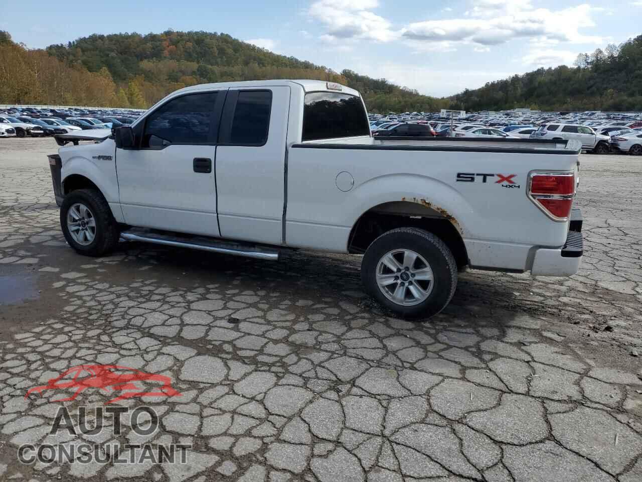 FORD F-150 2013 - 1FTFX1EF9DFD25032