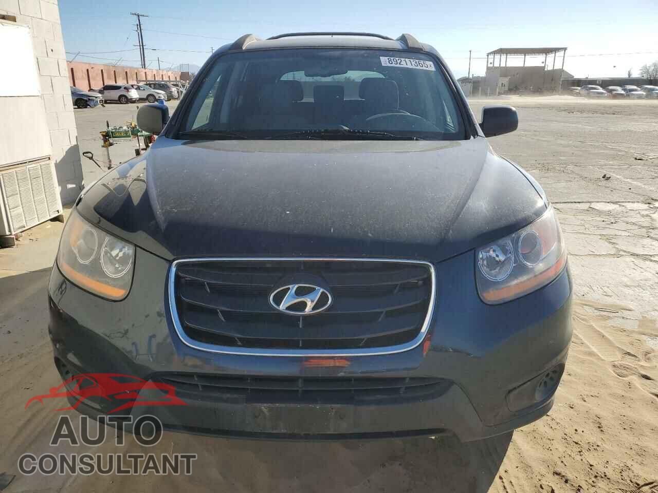 HYUNDAI SANTA FE 2010 - 5NMSGDAB9AH395969