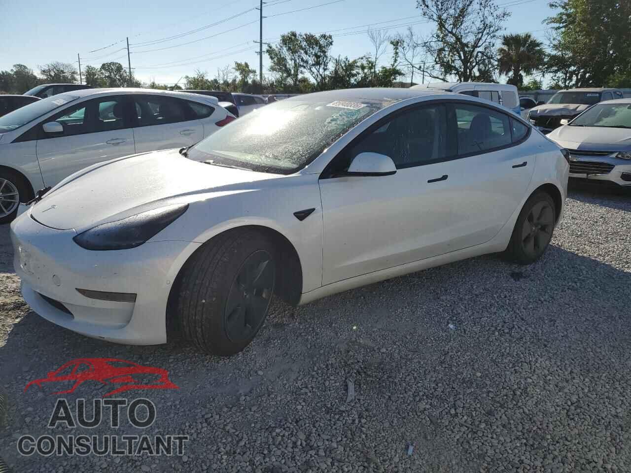 TESLA MODEL 3 2021 - 5YJ3E1EA8MF016766