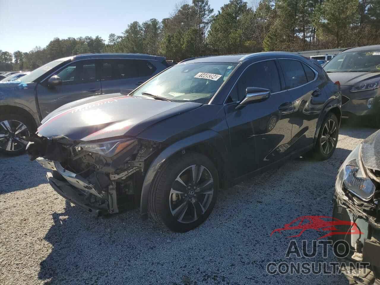 LEXUS UX 200 BAS 2022 - JTHP3JBH2N2052707