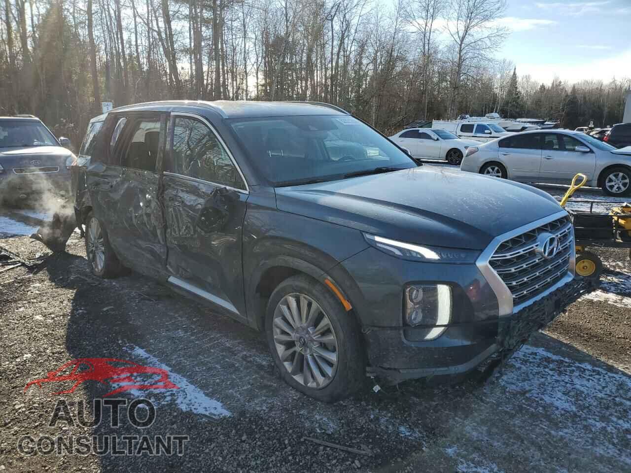 HYUNDAI PALISADE 2020 - KM8R5DHE2LU164763