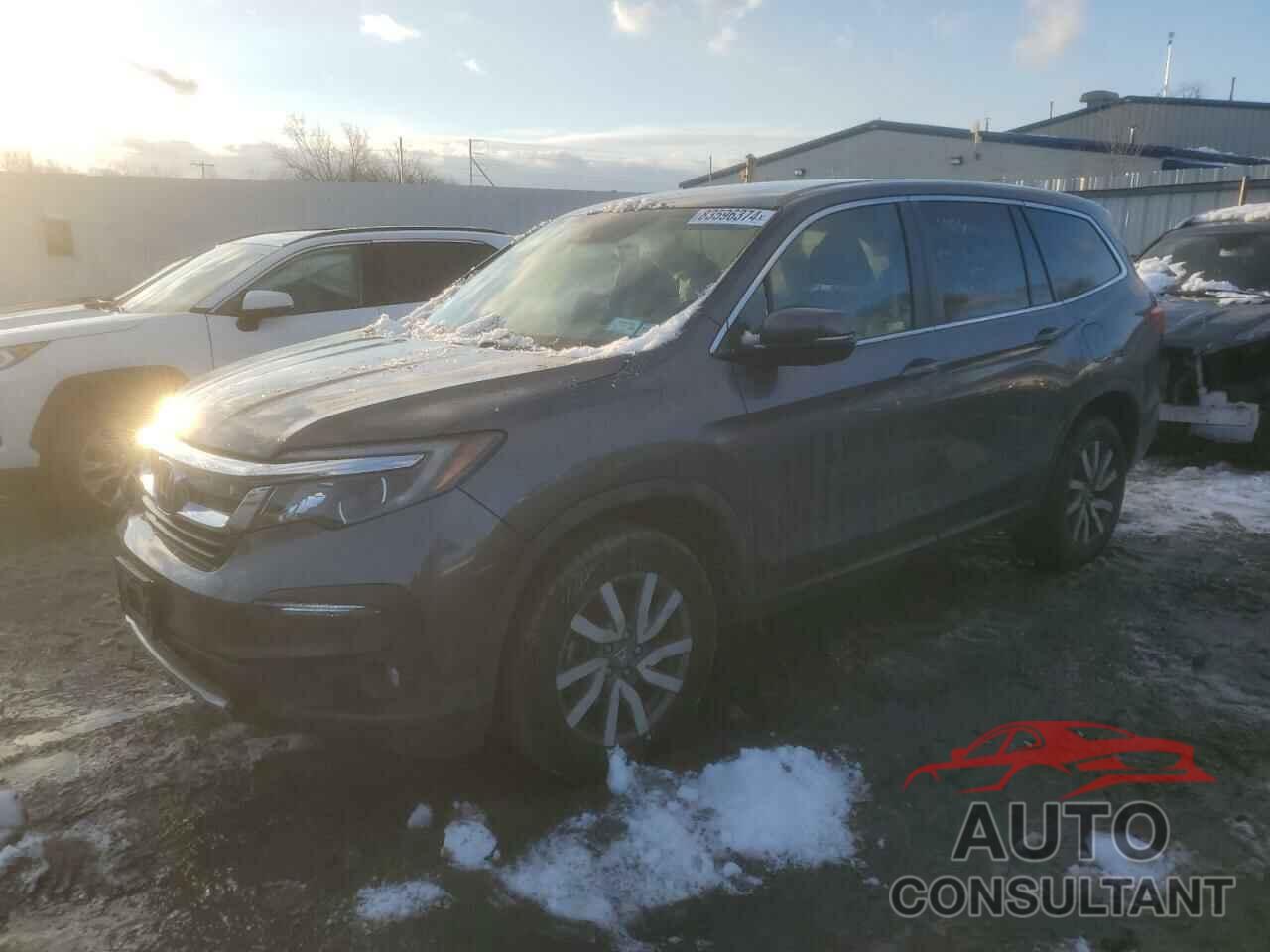 HONDA PILOT 2019 - 5FNYF6H38KB063497