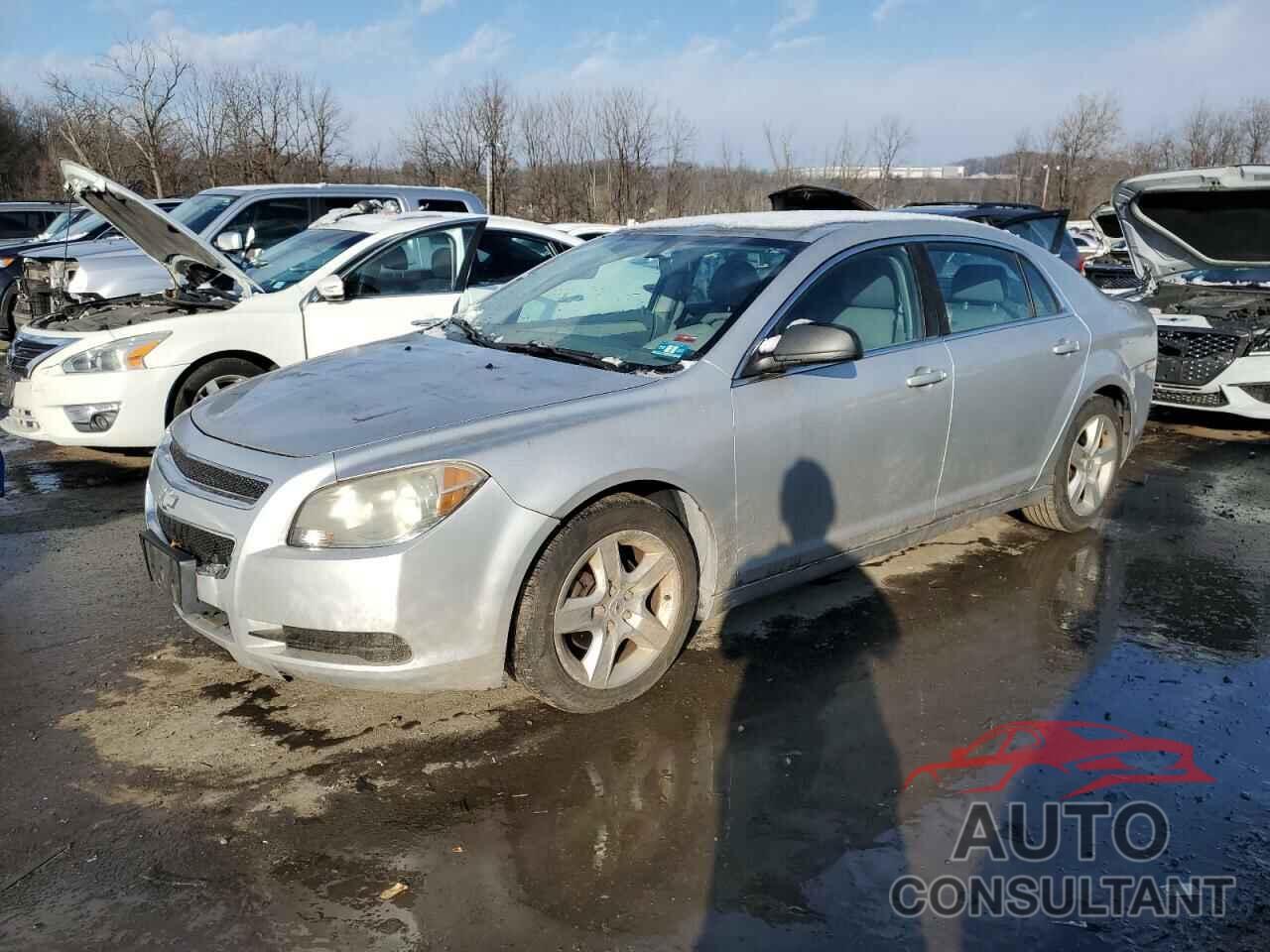 CHEVROLET MALIBU 2010 - 1G1ZA5E05AF193599