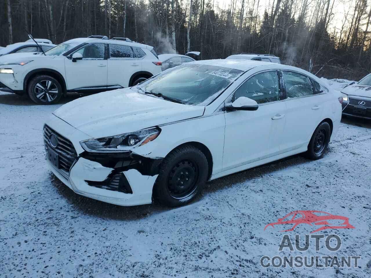 HYUNDAI SONATA 2018 - 5NPE24AF5JH637321